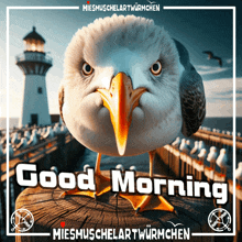 a picture of a seagull with a lighthouse in the background says " good morning "