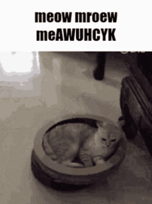 Roombacat Roomba Cat Kitty Meow Mreow Me Awuhcyk Roomba GIF - Roombacat Roomba Cat Kitty Meow Mreow Me Awuhcyk Roomba Roombacat GIFs