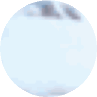 a white circle with a gray border and a gray circle in the middle