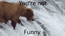 Youre Not Funny GIF - Youre Not Funny GIFs