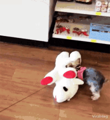 Viralhog Dog GIF - Viralhog Dog Shopping GIFs
