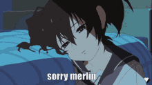 Sorry Sorry Merlin GIF - Sorry Sorry Merlin Sowwy GIFs