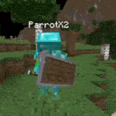 a parrot is holding a wooden shield in a minecraft game .