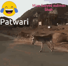Patwari Donkey GIF - Patwari Donkey Hardworking GIFs