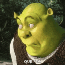 shrek from shrek is making a funny face and says que feo in spanish