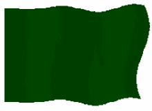old libya flag green