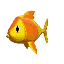 Fish3 GIF - Fish3 Fish GIFs
