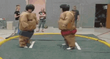 Fight Dropkick GIF - Fight Dropkick Sumo GIFs