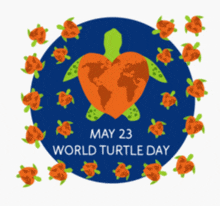 a poster for world turtle day with turtles around it