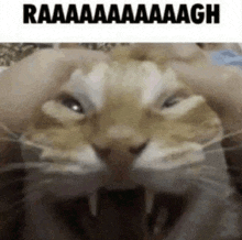 Mental State Raaaaaaaaaagh GIF - Mental State Raaaaaaaaaagh I Do Be Like This GIFs