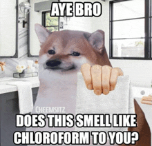 Chloroform Doggo GIF - Chloroform Doggo Meme GIFs