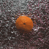 an orange is sitting on a silver foil surface