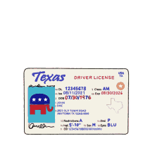 stand against voter id laws in texas texas dems texas democrats texas voting rights tx