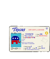 Stand Against Voter Id Laws In Texas Texas Dems Sticker - Stand Against Voter Id Laws In Texas Texas Dems Texas Democrats Stickers