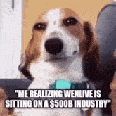 a dog is sitting on a couch with a person holding it .
