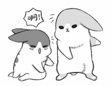 Bunnny Bunny GIF - Bunnny Bunny GIFs