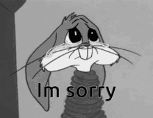 Im Sorry Bugs Bunny GIF