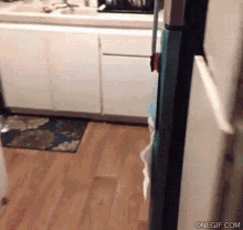 Fridge Busted Snacking Caught GIF - Fridge Busted Snacking Caught Oops GIFs