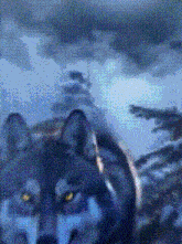 a close up of a wolf 's face with yellow eyes