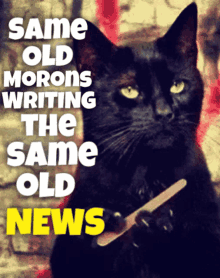 Same Old Morons Writing The Same Old Lies News GIF - Same Old Morons Writing The Same Old Lies News Journalism GIFs