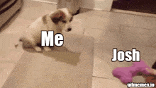 a puppy is playing with a toy and says me josh