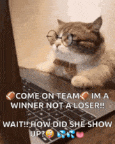 a cat wearing glasses sits in front of a laptop with the caption come on team im a winner not a loser