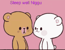 Sleep Well Niggu GIF