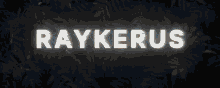 Raykerus Banner GIF - Raykerus Banner GIFs