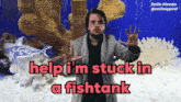 Stuck Help GIF - Stuck Help Im Stuck In A Fishtank GIFs