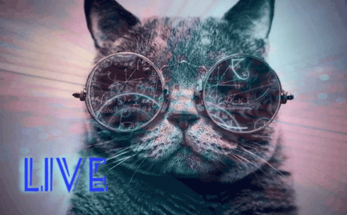Love Space GIF - Love Space Cat - Discover & Share GIFs