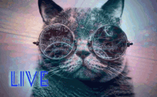 Love Space GIF - Love Space Cat GIFs