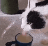 Cateatingnothing GIF - Cateatingnothing GIFs