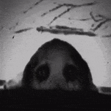 a black and white photo of a person with glowing eyes looking out of a hole .