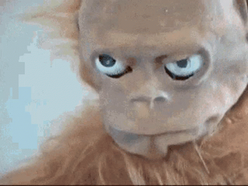 Monkey-robot GIFs - Find & Share on GIPHY