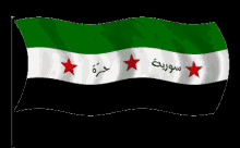 flag syrian