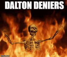 Dalto Dalton GIF - Dalto Dalton Daltoland GIFs