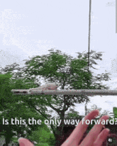 a person is holding a lizard on a pole and asking is this the only way forward .