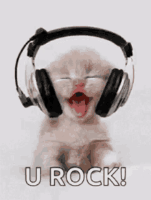 Rock You GIF - Rock You GIFs