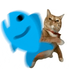 a cat is holding a blue fish with a smile on its face .