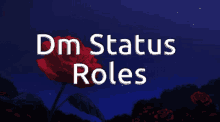 Dm Status Dm GIF - Dm Status Dm Discord GIFs