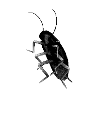 Black Roach Sticker - Black Roach Cockroach Stickers