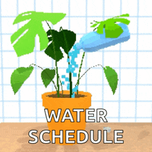 Plant Houseplant GIF
