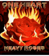 a poster for one heart heavy roses shows a red rose in flames