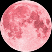 a full pink moon is against a black background