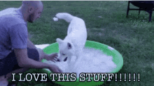 Dog Love This Stuff GIF - Dog Love This Stuff Excited GIFs