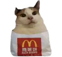 a cat is sitting inside of a mcdonald 's bag