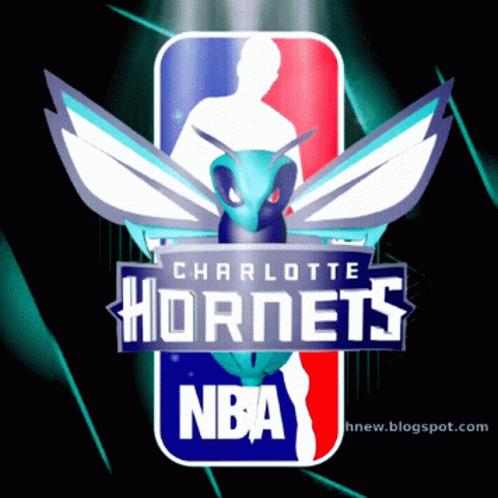 charlotte hornets new logo