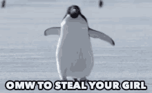 Fight Cheating Homewrecker Steal Your Girl GIF - On My Way To Steal Your Girl Penguin Omw GIFs