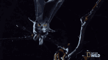 Flying Away Great Horned Owl On The Hunt GIF - Flying Away Great Horned Owl On The Hunt Im On My Way GIFs