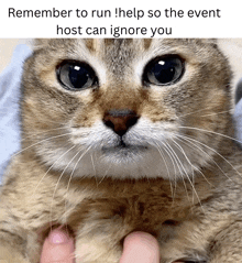 a close up of a cat with a caption that says " remember to run "